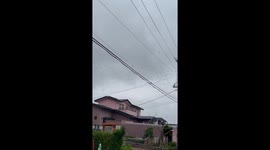 Hundreds of birds fill the sky in Japan following Russia earthquake