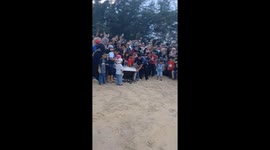 Locals gather on beach as newly-hatched sea turtles are released