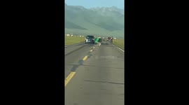 Cow walks down road with garbage bin stuck on its head in Xinjiang, China