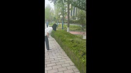Cat responds to call and emerges from bushes in Shandong, China