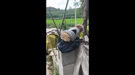 Cat enjoys peaceful rest on top hollow blocks in Guizhou, China