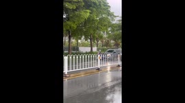 Goose runs loose on street as owner gives chase in Guangdong, China
