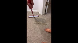 Hair Removal Broom