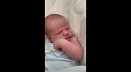 Curious dog tilts head at newborn baby's sleeping sounds