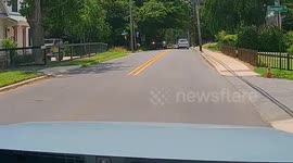 Deer Dashes Out in Front of SUV and Goes Flying