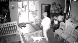 Mother trips over pet dog and drags over patio door
