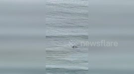 Surfer Waits On Board As Tsunami Warning Shakes Hawaii