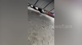 Mall-goer crawls under car to rescue trapped kitten