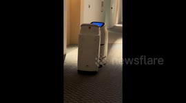 Food delivery robots collide head-on in hilarious scene