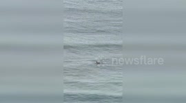 US: Man Waits On Surfboard For Tsunami Waves To Hit Hawaii