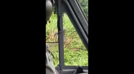 Stranded Thai soldiers rescued by helicopter after five days stuck in jungle near Cambodian border