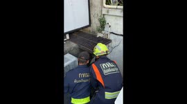 Maids bring cooking oil to free monitor lizard trapped under office building