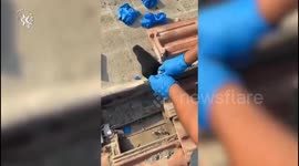 Israel: Firearm and Ammunition Seized in Ramla Residential Complex