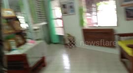 Massive python caught in ceiling of family's home in Thailand