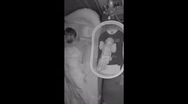 Doodle Cuddles Dad Who Is Comforting Newborn