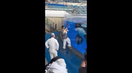 Killer whale appears to sing as visitor plays instrument