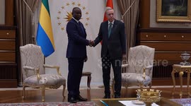 Turkish President Erdogan meets with Gabonese counterpart Nguema in Ankara