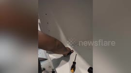 Residents rescue cat stuck in their living room furniture