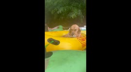 Downpour Ruins Golden's Tubing Trip