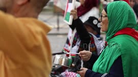 Crowds rally in Paris to show support for Gaza