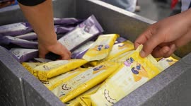 China: Chinese ice cream hot sellers on global market