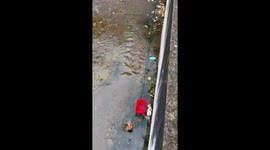 Kitten rescued from river using basket lowered on a rope