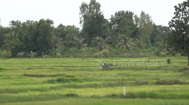 Thailand: Bomb disposal teams race to uncover hidden threats amid Thai-Cambodia ceasefire