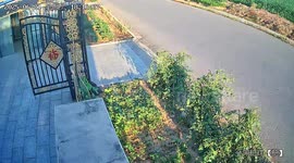 Motorcyclist crashes through vegetable garden in Liaoning, China