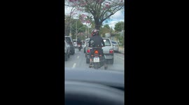 Motorcycle Puppy Wears Helmet And Seatbelt