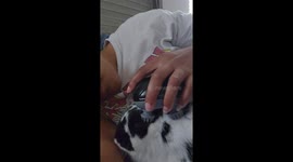 Bunny Head Massage