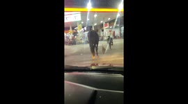 Unusual animal trio spotted near gas station in Suzano, Brazil