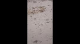 Indonesia: Thick Volcanic Ash Blankets Flores as Mount Lewotobi Laki Laki Erupts