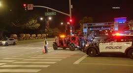US, Los Angeles: Beverly Hills Several Taken Into Custody Following Possible Robbery