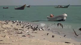 Yemen: Yemeni coastal communities face hunger as Red Sea tensions disrupt livelihoods