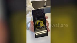 Tsunami alert in Japan after powerful earthquake sparks warnings across Pacific