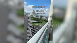 Tsunami alert in Japan after powerful earthquake sparks warnings across Pacific