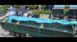 How to Swim in a Truck
