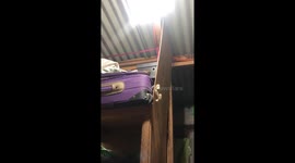 Rat Helps His Buddy