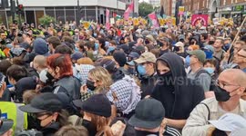 Anti-racism protesters form human wall as police attempt to move them outside London migrant hotel