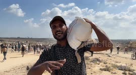 Starving Palestinians shot by Israeli forces while desperately seeking aid (2)