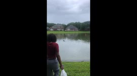 When Nature Attacks
