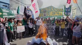 Brazil: Brazilians rally against U.S. tariffs, political interference