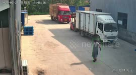 Woman accidentally struck by reversing truck in Shandong, China