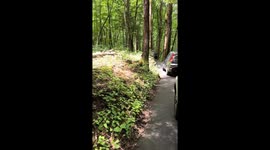 Car flips off roadside at Grotto Falls loop in Gatlinburg, Tennessee