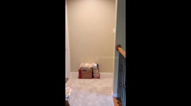 Dad discovers hidden stash of pancakes under daughter's bed in Oak Point, Texas, USA