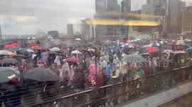 March across Sydney Harbour Bridge in support of Palestine