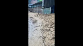 Vietnam Flooding: Hundreds of Homes Devastated in Dien Bien Province