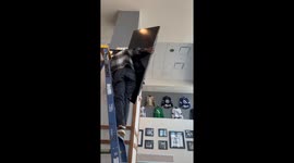 Women Falls Off Ladder Holding a TV