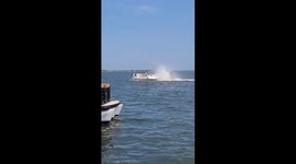 Whale collides with boat, throwing woman overboard in Barnegat Bay