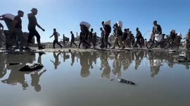 Israeli fire kills 55 Palestinians in Gaza, including 27 waiting for aid (3)